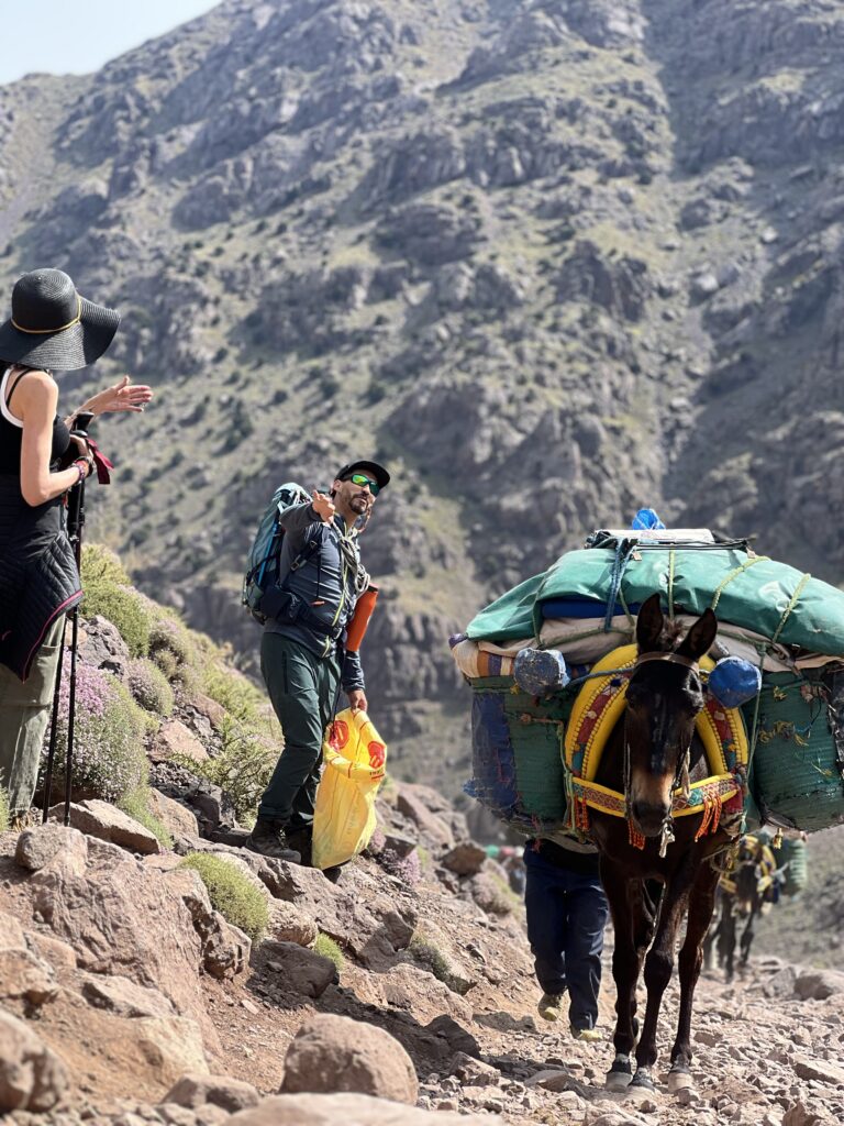 Guide explaining to hikers why it's safer to stand on the mountain side when passing a mule on a narrow trail in the Atlas Mountains